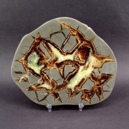 Septarian Slab