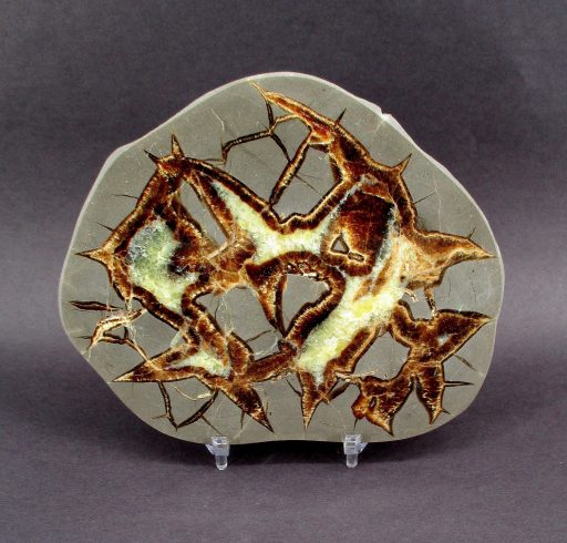 Septarian Slab