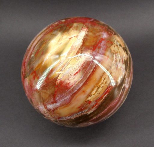 Petrified Wood