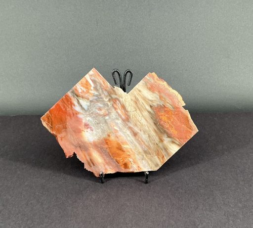 Arizona Petrified Wood