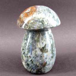 Madagascar Jasper Mushroom