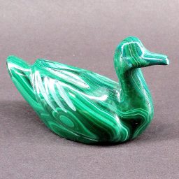 Malachite Swan