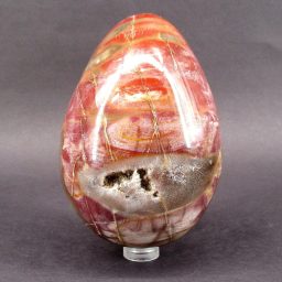 Petrified Wood