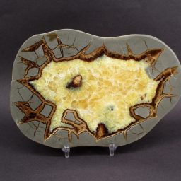 Septarian Slab