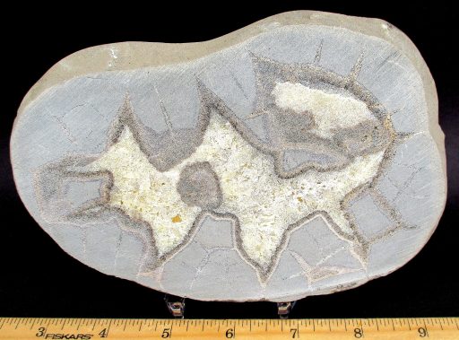 Septarian Slab