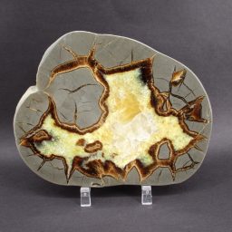 Septarian slab