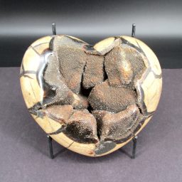 Septarian Heart