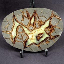 Septarian End Cut