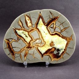 Septarian Slab