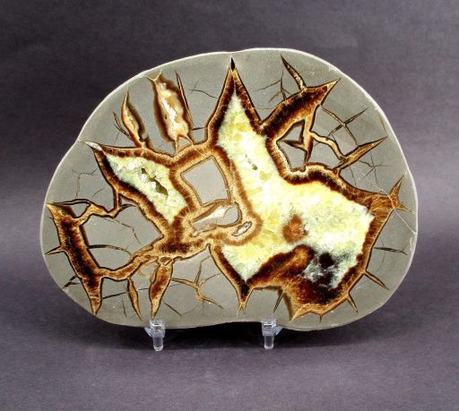 Septarian Slab