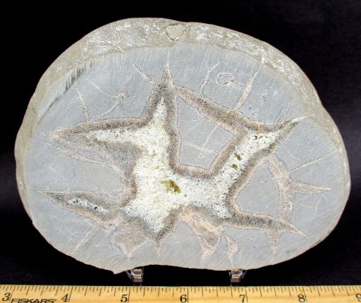 Septarian Slab