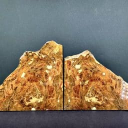 Arizona Petrified Wood Bookends