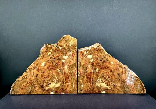 Arizona Petrified Wood Bookends