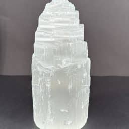 Rough Selenite Lamp