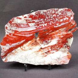 Mexican Lace Agate