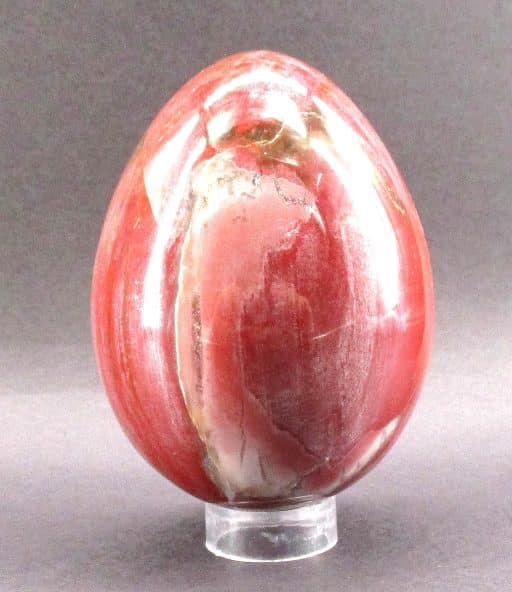 Petrified Wood Egg