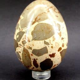 Leopard Skin Jasper