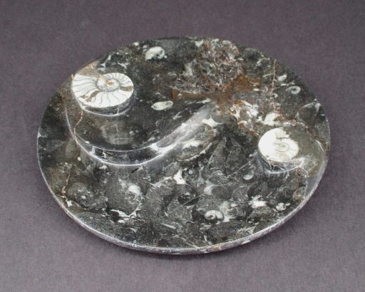 Fossil Dish