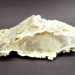 South Dakota Chalcedony with Calcite Crystal