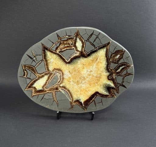 Septarian Slab