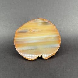 Natural Brazilian Agate End