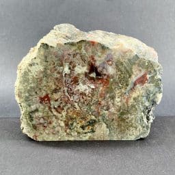 Dinosaur Coprolite