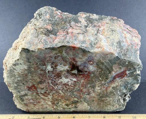 Dinosaur Coprolite