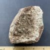 BCR412 Mexican Moss Agate - Image 5