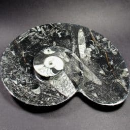 Fossil Rock Dish