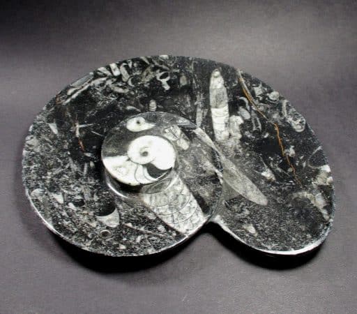 Fossil Rock Dish