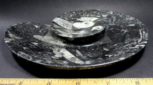 Fossil Rock Dish