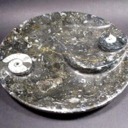 Fossil Dish