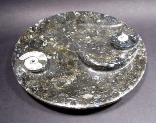 Fossil Dish