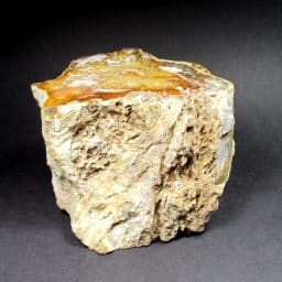 Petrified Wood