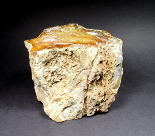 Petrified Wood