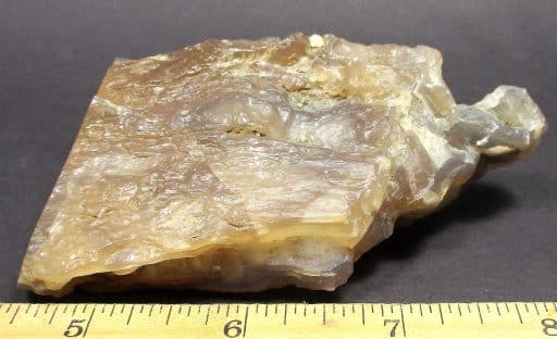 Wyoming Petrified Wood