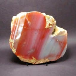 Mozambique Waterlevel Agate