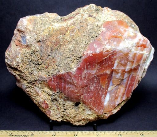 Mozambique Waterlevel Agate