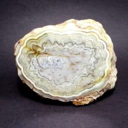 Mexican Lace Agate