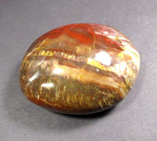 Petrified Wood