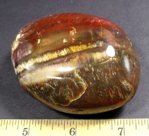 Petrified Wood