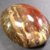 PRS47 Petrified Wood - Image 5