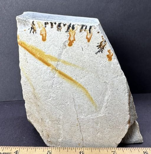 Dendritic Limestone