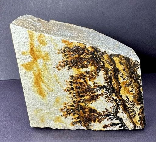 M215 Dendritic Limestone - Image 4