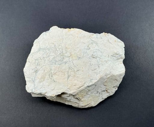 GR101 Howlite - Image 3