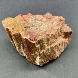 Arizona Petrified Wood