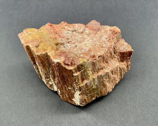 Arizona Petrified Wood