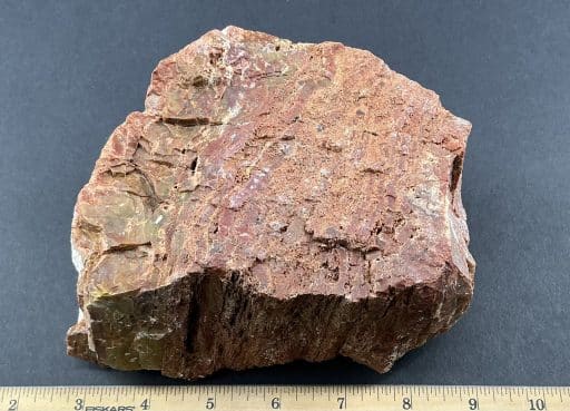 GR102 Arizona Petrified Wood - Image 2