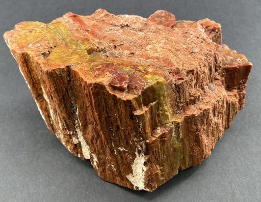 Arizona Petrified Wood