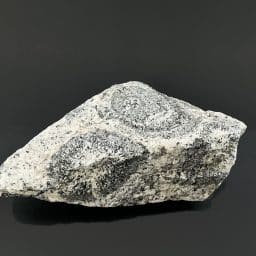 Orbicular Granite